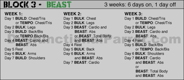 Body beast total online body workout