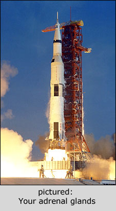 saturnv