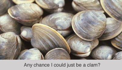 clam_ufc