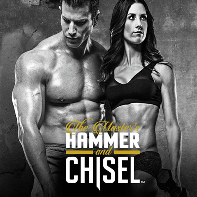 REVIEW The Master s Hammer and Chisel Dysfunctional Parrot