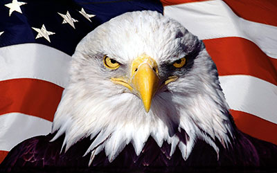 America-eagle